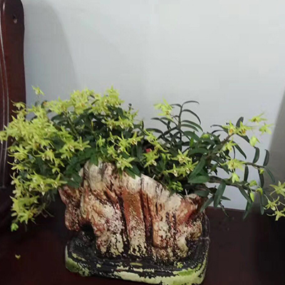 06