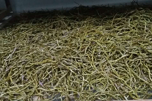 加工过程