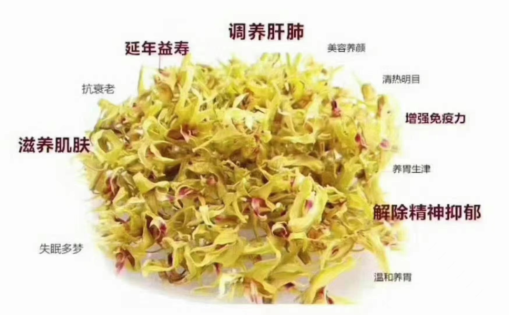 铁皮石斛花
