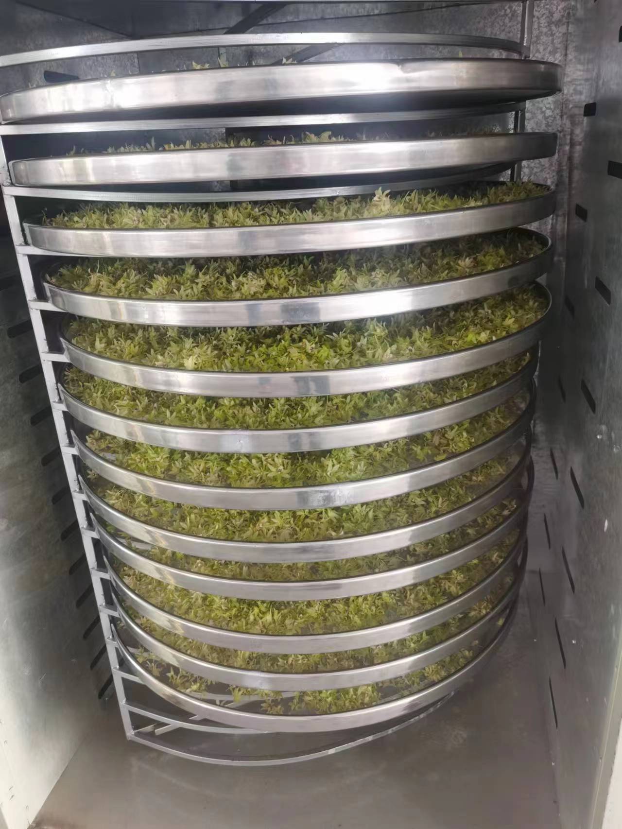 铁皮石斛花